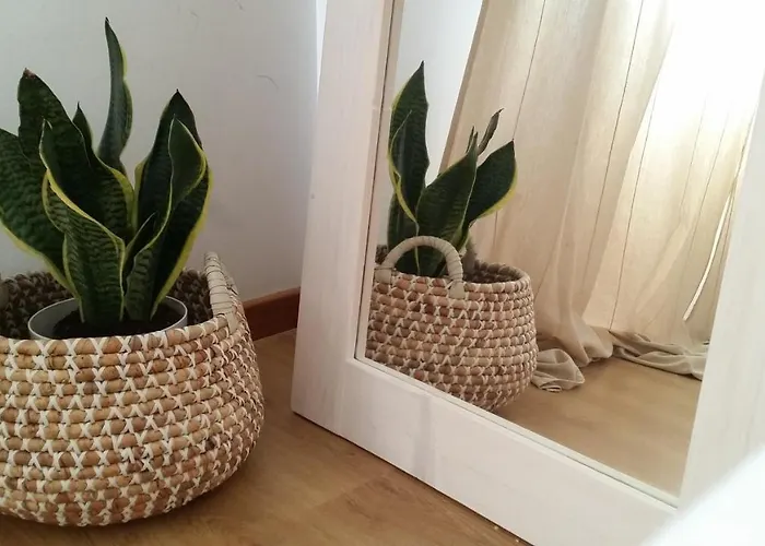 Essencyahomecoimbra شقة كويمبرا