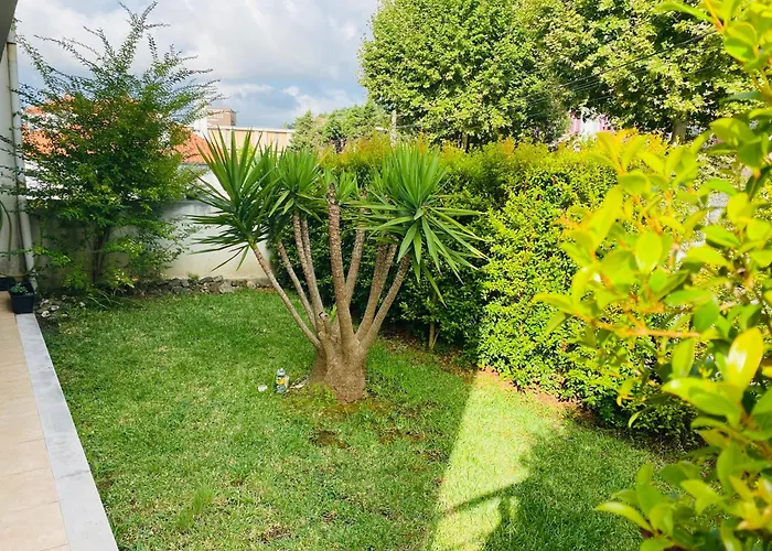 Essencyahomecoimbra شقة كويمبرا
