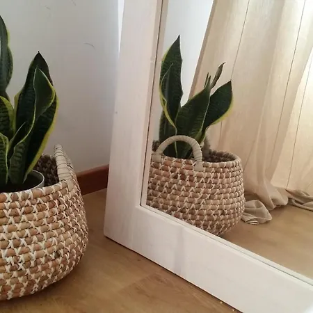 Essencyahomecoimbra Apartamento Coimbra