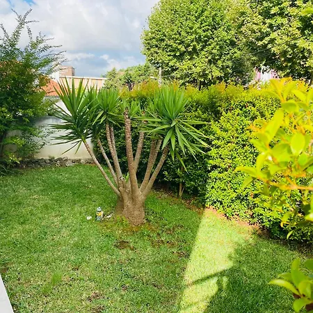 Essencyahomecoimbra Apartamento Coimbra